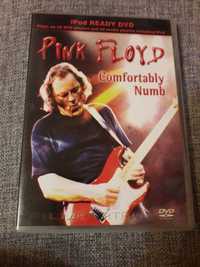 Pink Floyd  Comfortably Numb dvd