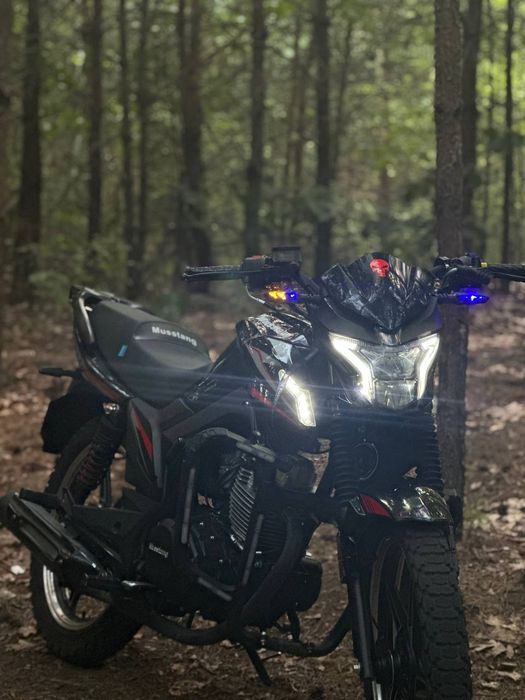 Продам Мустанг фортуна 200 / Musstang fortune 200