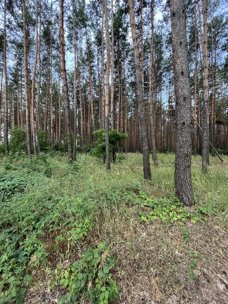 Продаж нового будинку м. Обухів м-н Стожари