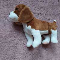 Pluszowy pies beagle