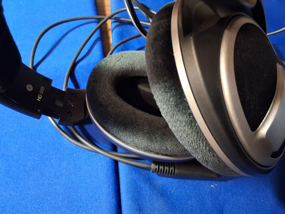 Sennheiser HD 559