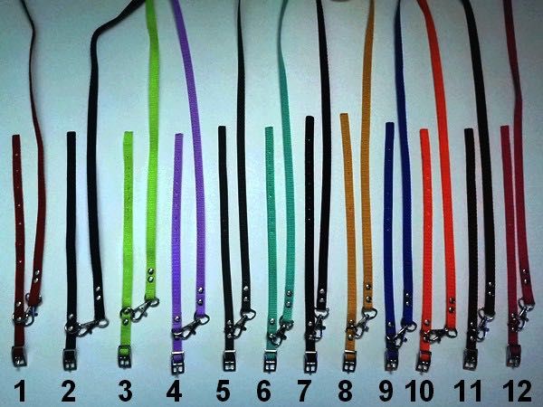 york obroża i smycz dla szczeniaka, zestaw 5 szt. kolory wyprawka