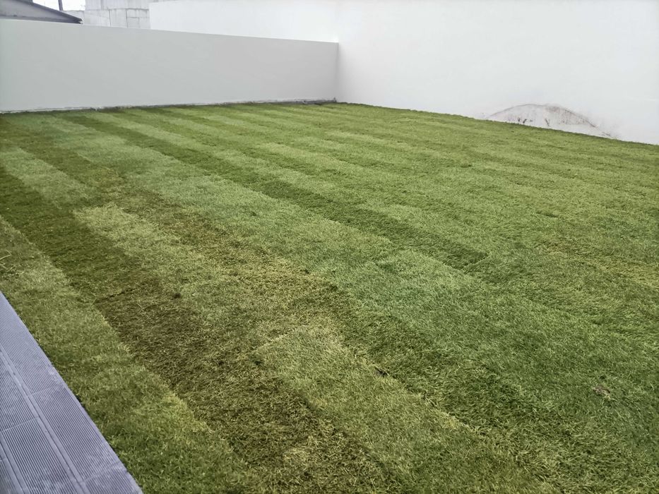 Serviços de jardinagem