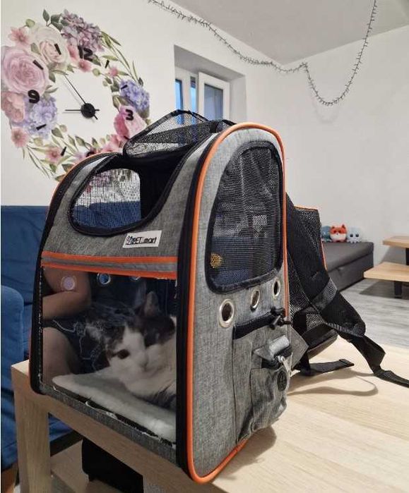 Plecak kota psa transporter transporterek duży 35 x 28 x 44 cm