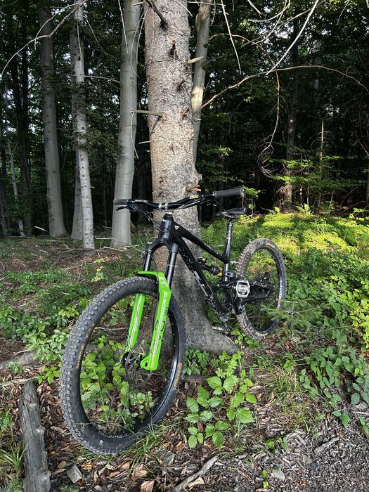 yt capra cor 1 custom