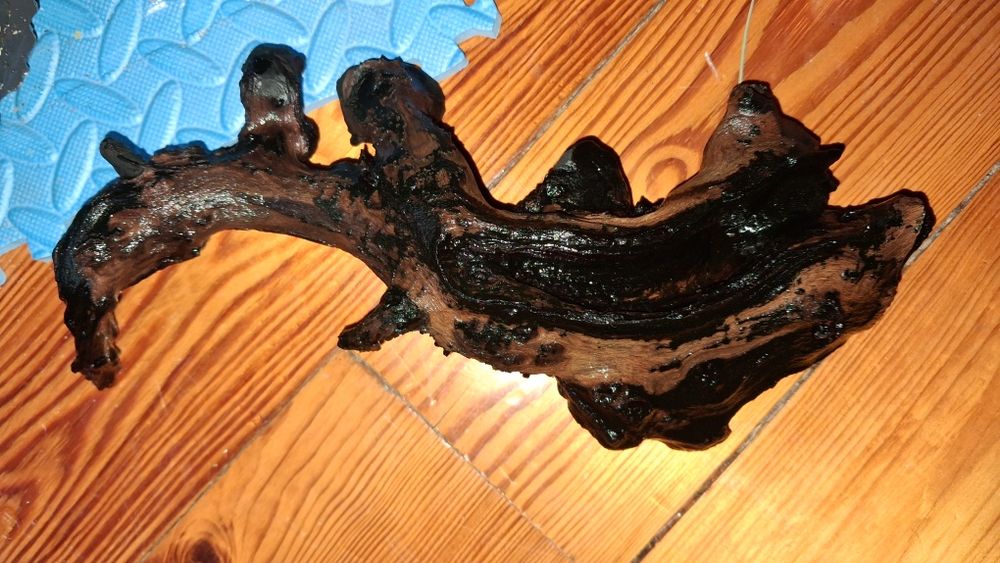 Akcesoria do akwarium - Filtry, Rośliny, Zamek i więcej