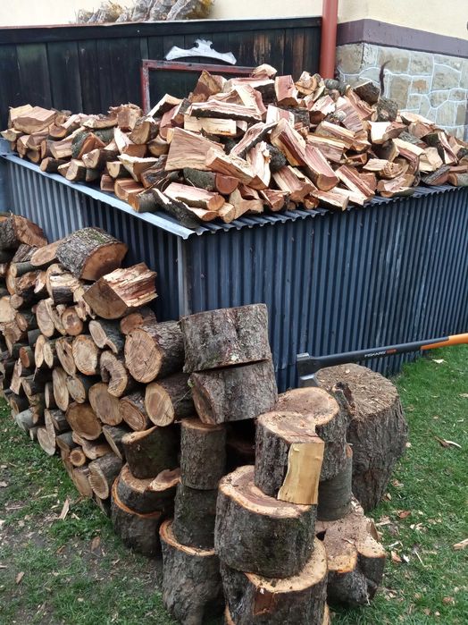 SUCHE Owocowe drzewo do wedzenia śliwa drewno jabłoń wędzarnia grill