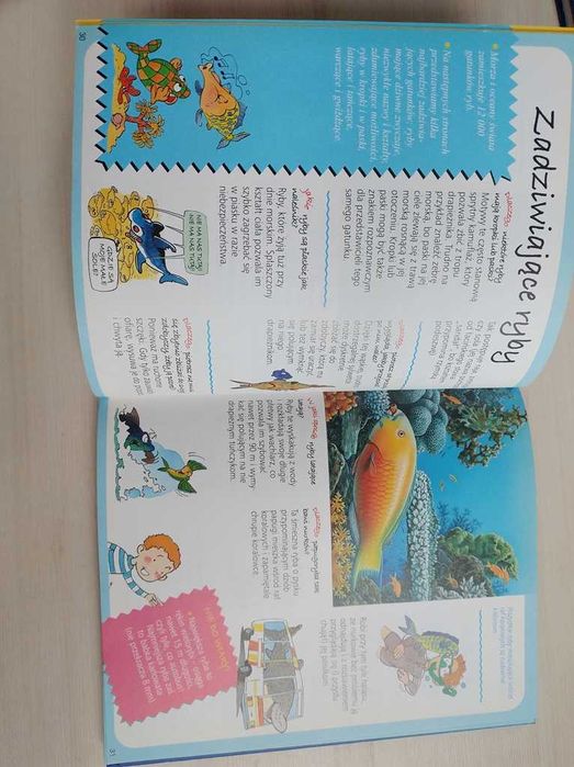 Obrazkowa encyklopedia dla dzieci Morze Odpowiada w jaki sposób