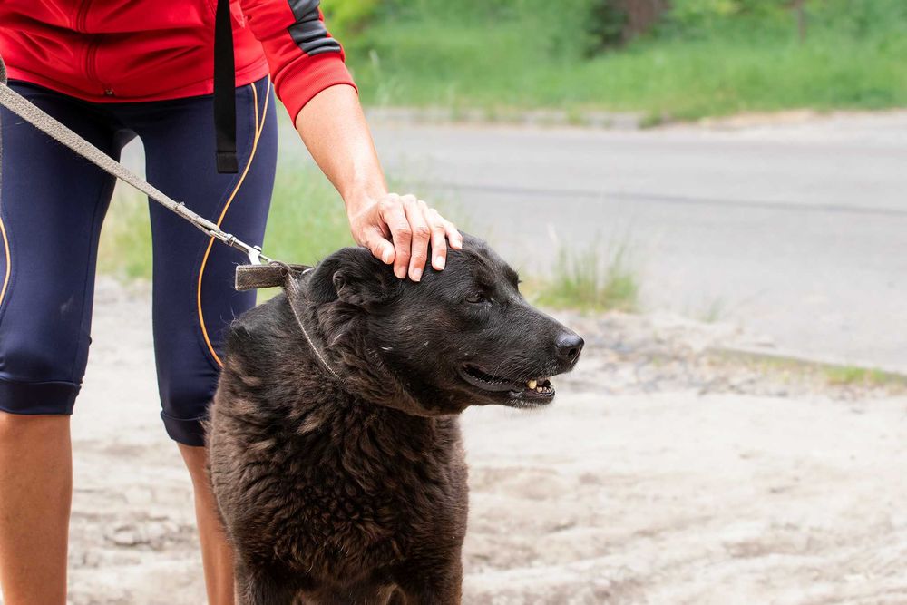 Чернушка шукає родину