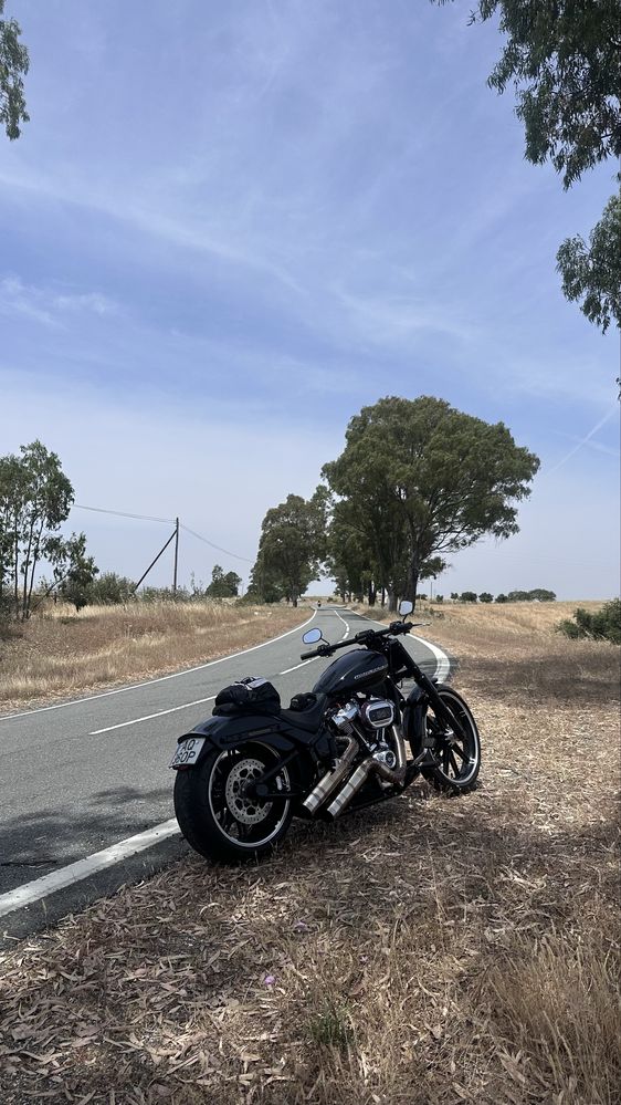Harley davidson breakout