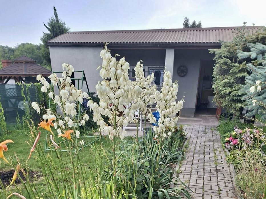 Ogródek działkowy ROD Wąwóz w Świętochłowicach