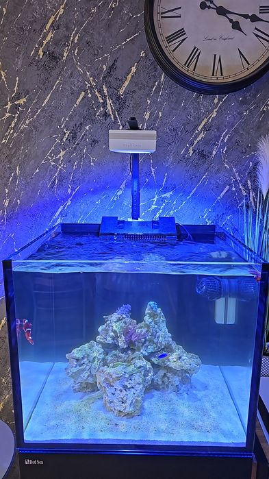 Lampa morska rl90 popbloom