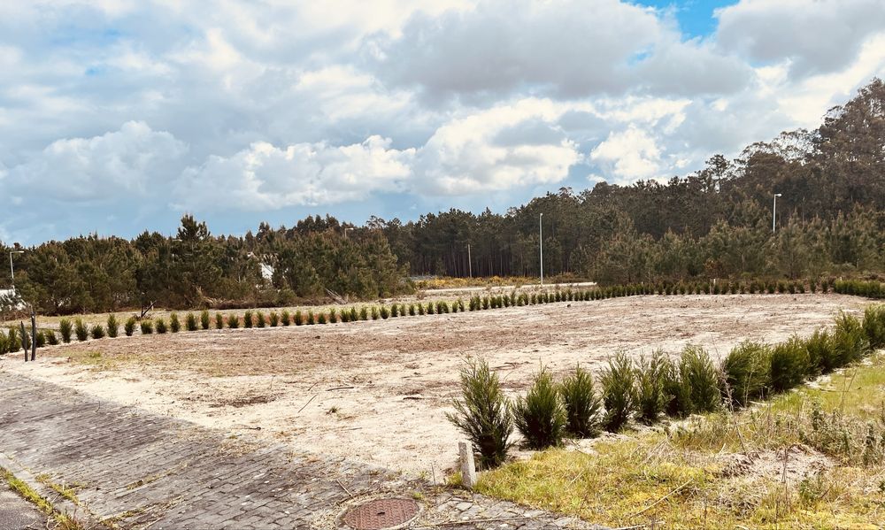 Terreno Urbano com cerca viva!600mts
