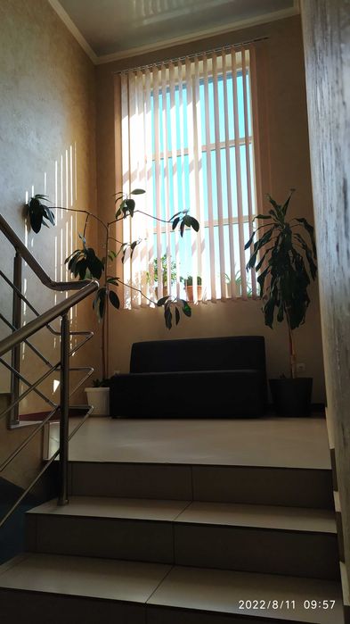 Залишилося одне приміщення 50 м2 Оренда комерція  Головна 246Р