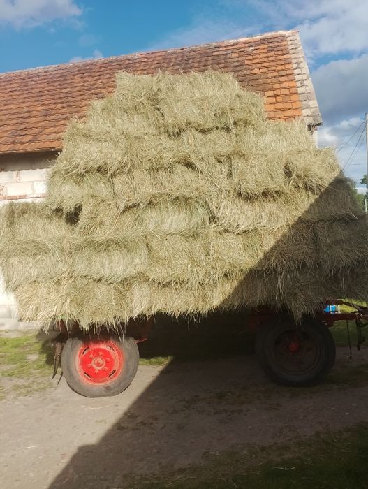 Słoma owsiana .siano tegoroczne