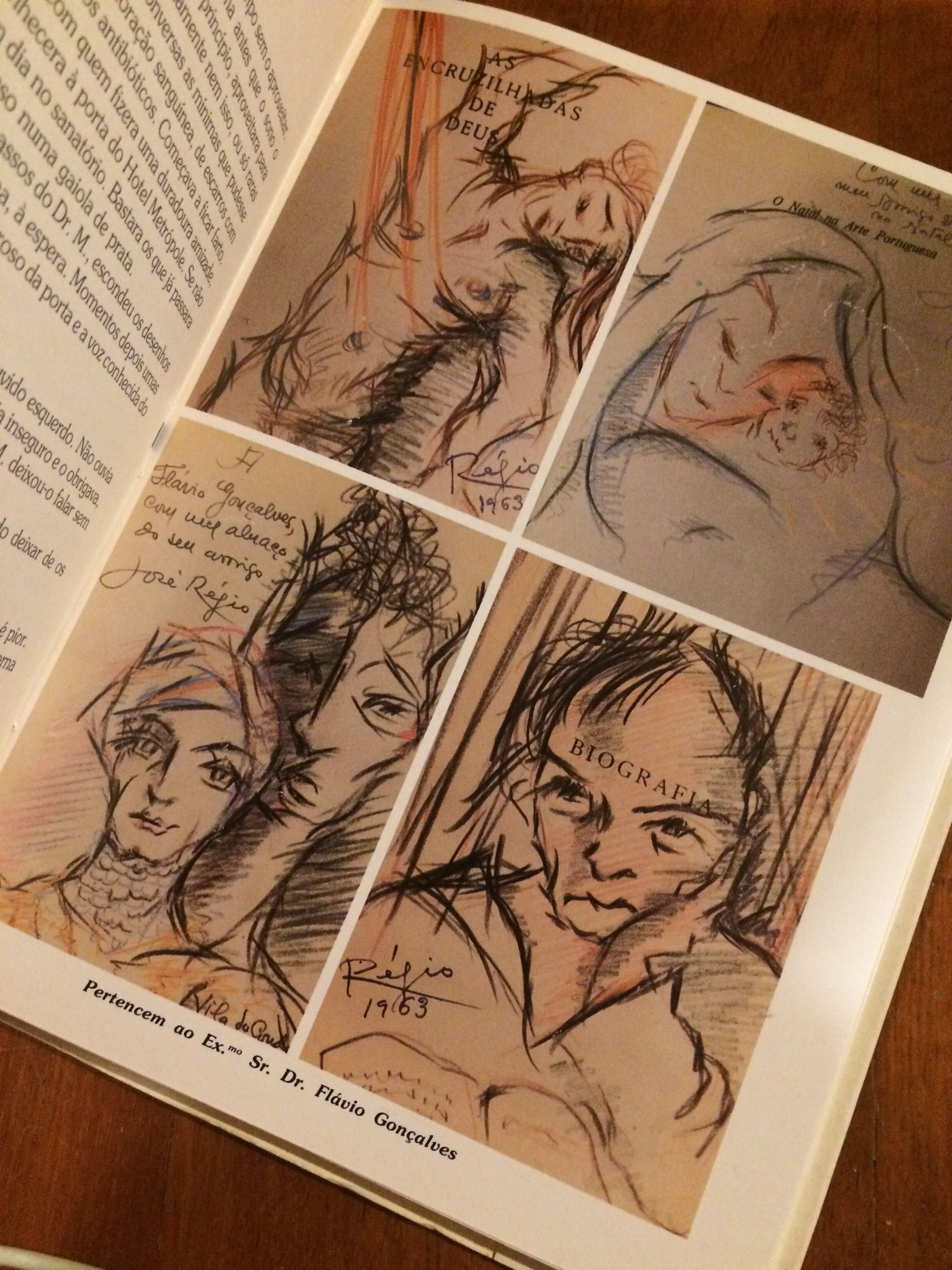 Os desenhos de Régio