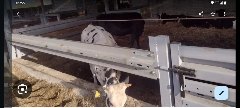 Bariera drogowa,  okólnik