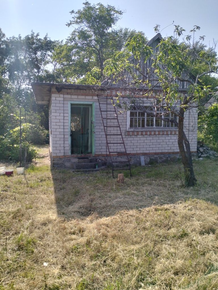 Продам дачу "Будівельник" Власівка