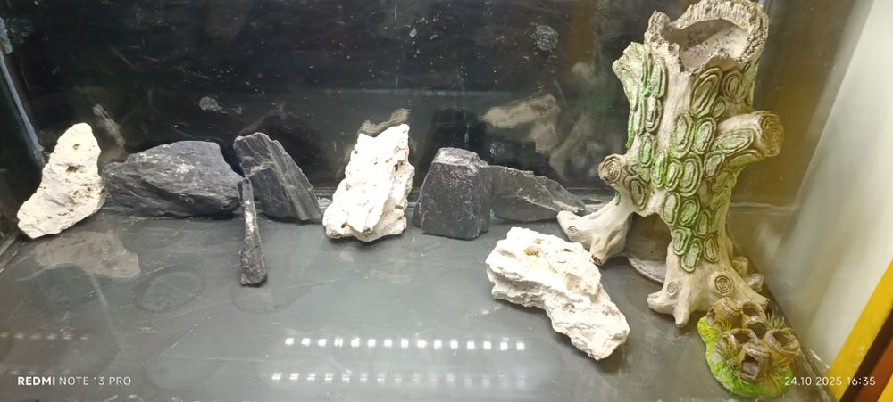 Sprzedam akwarium 200 litrów z filtrem tetra plus reszta osprzetu