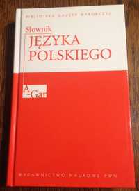 Słownik Języka Polskiego Tom I (gazeta wyborcza)