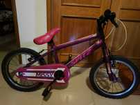 Bicicleta menina