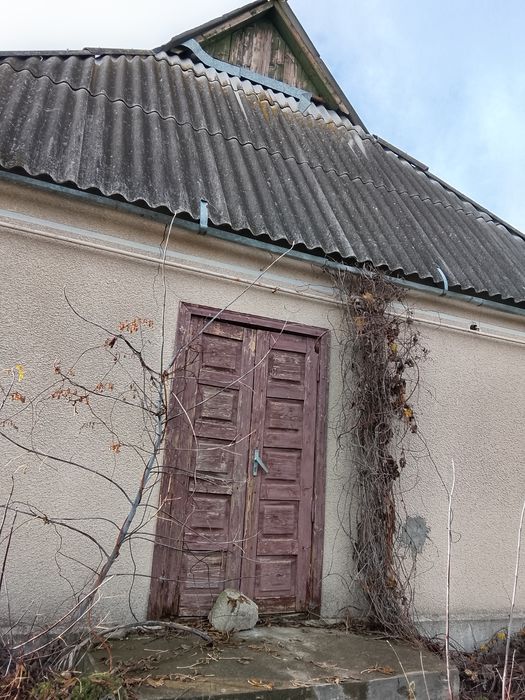 Продам будинок в Одеській області Любашовский райьоні село Іванівка