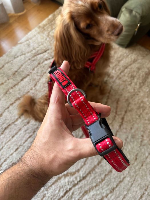 (NOVA) Trela KONG vermelha