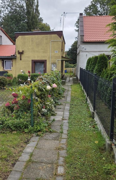 Wynajmę Nowy Staw ogłoszenie aktualne