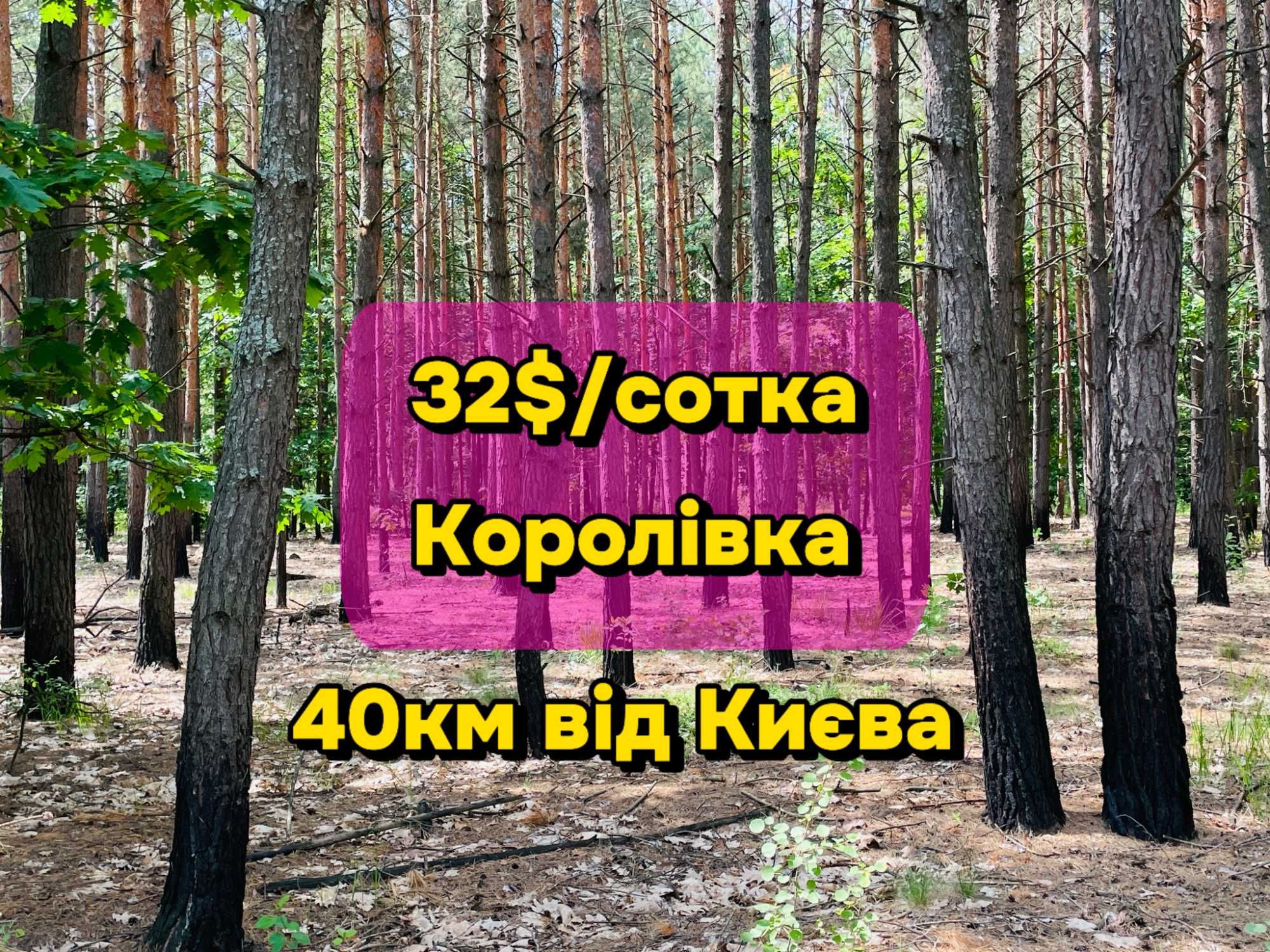 Найвигідніша заліснена ділянка біля Києва! 32$ за сотку