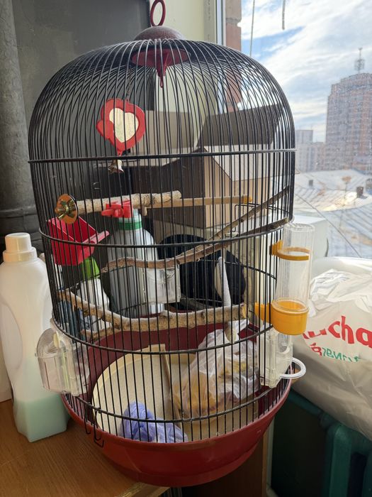 Продам клітку для папуги