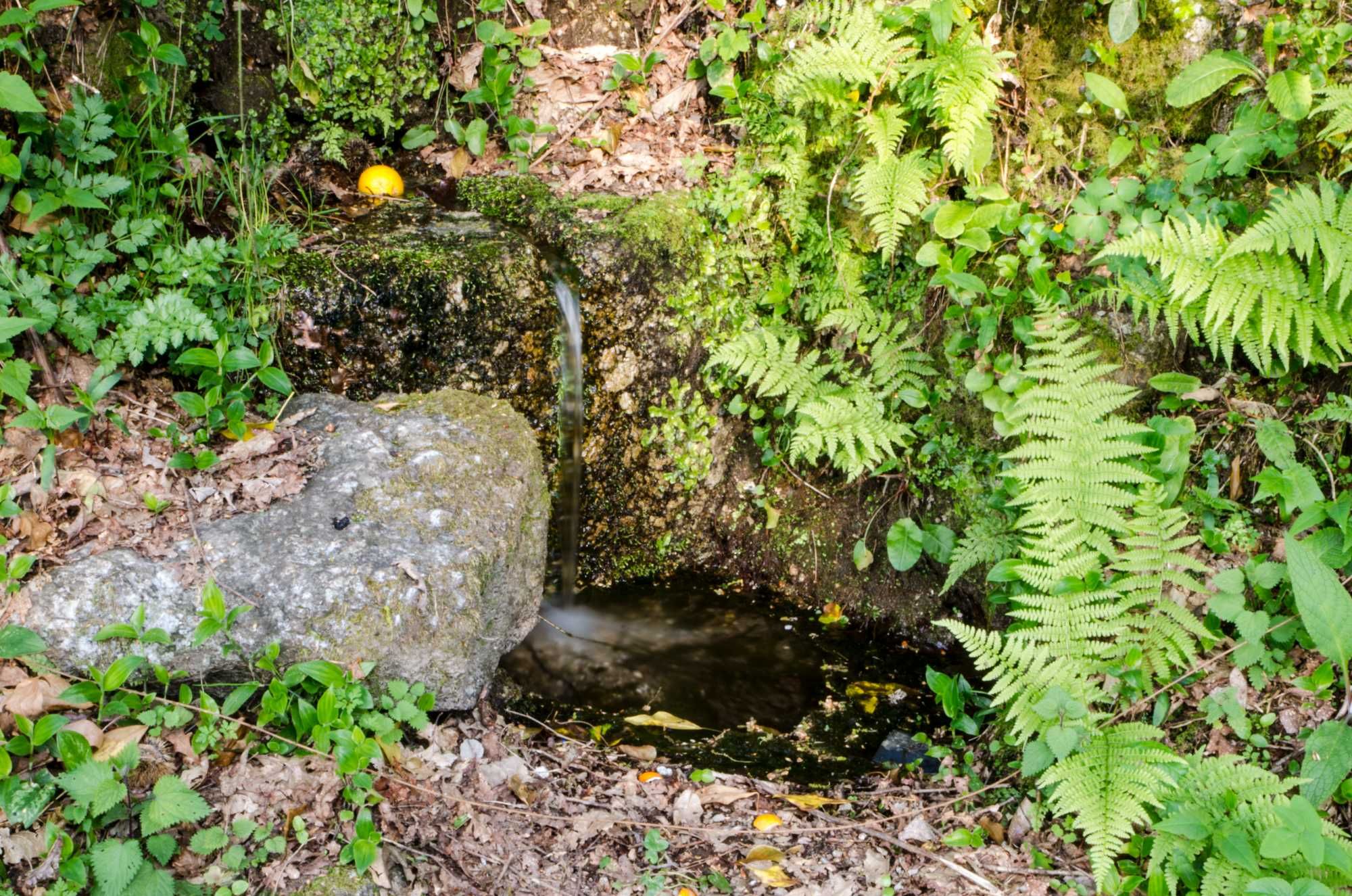 Cantinho da pedra Gerês turismo rural lindas paisagens com piscina