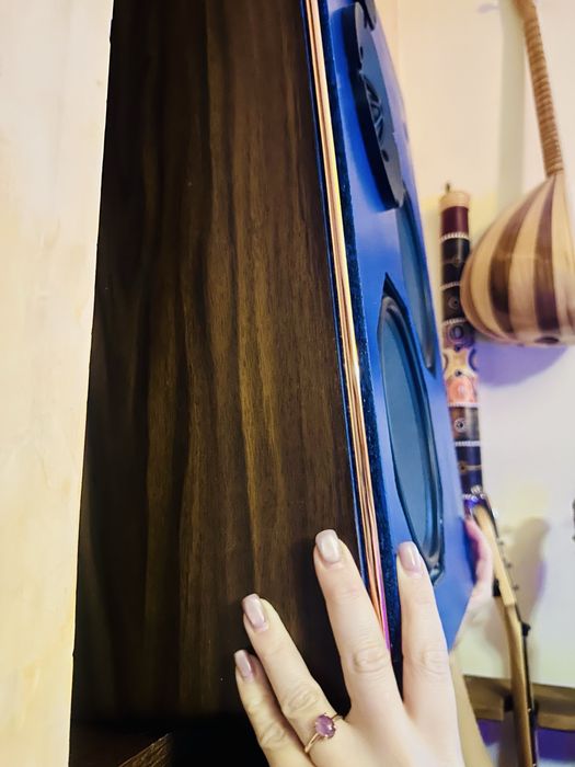 АКУСТИКА PHILIPS - топовый звук