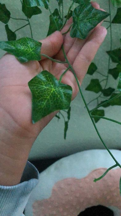 Sztuczny bluszcz 50 m na ścianę balkon taras dekoracja 50 metrów