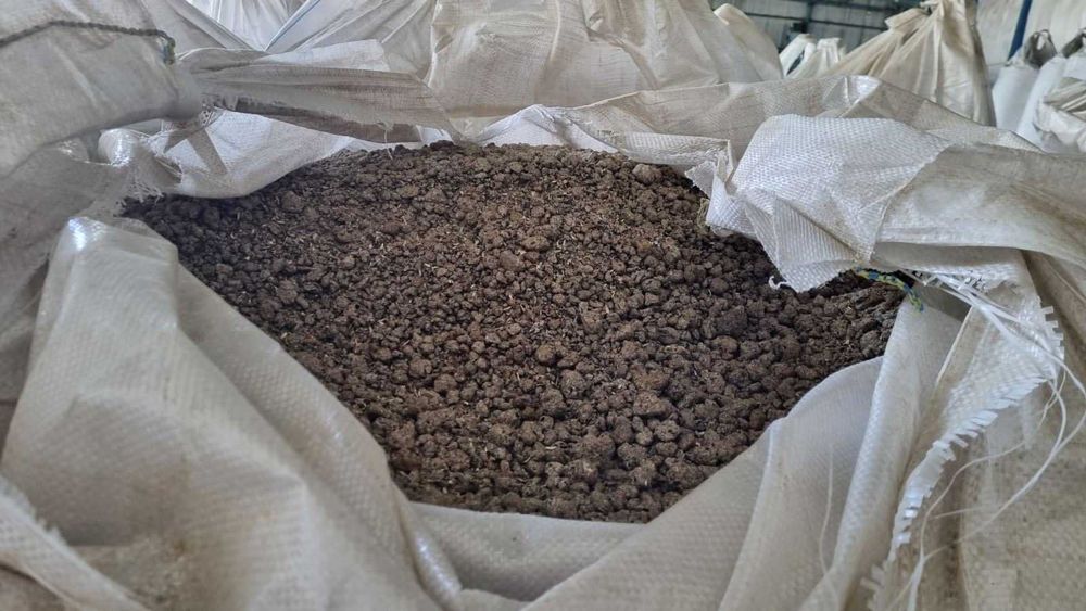 Śruta słonecznikowa sypka