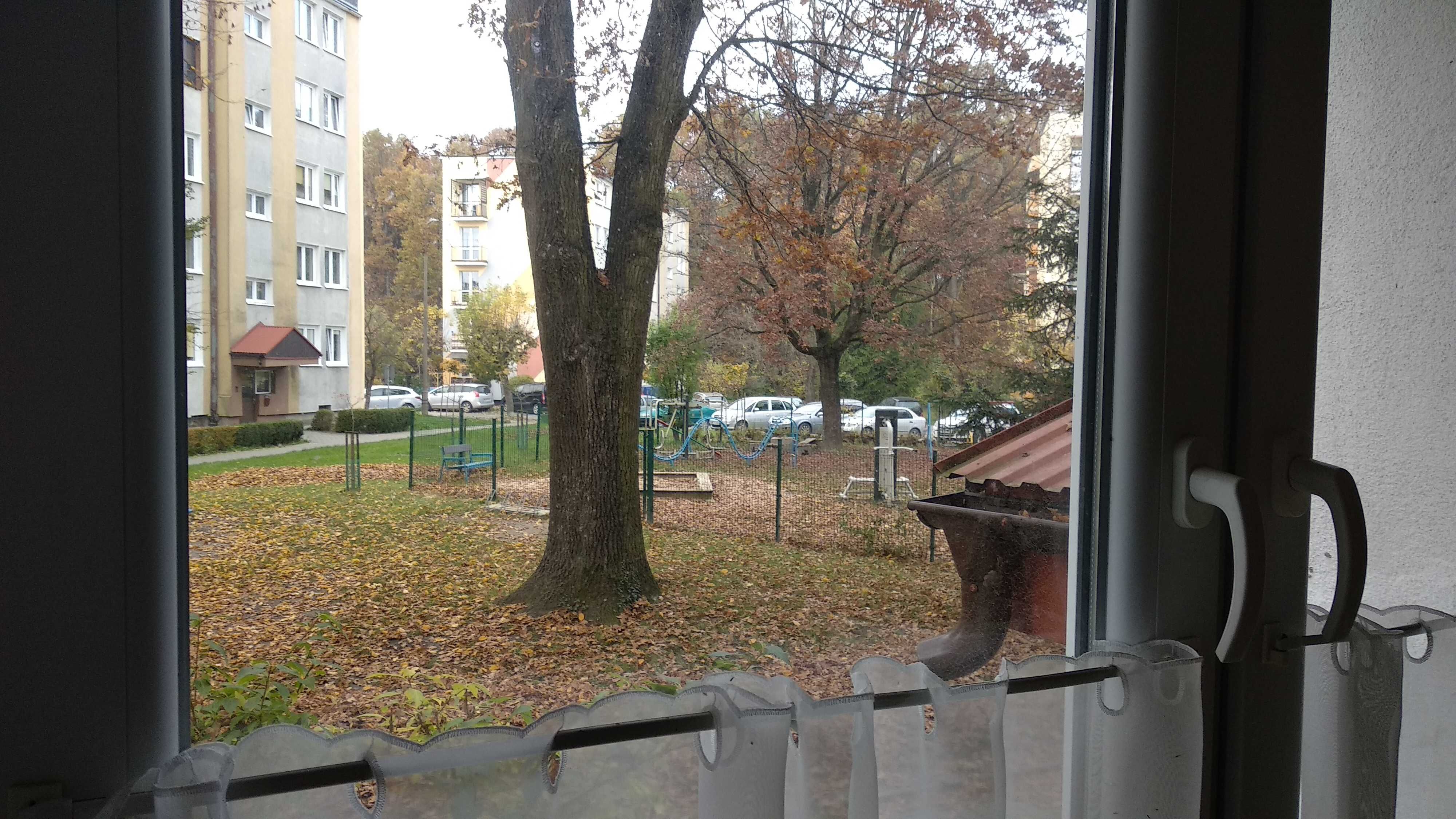 Wynajmę mieszkanie 50 met² parter 2 pokoje balkon