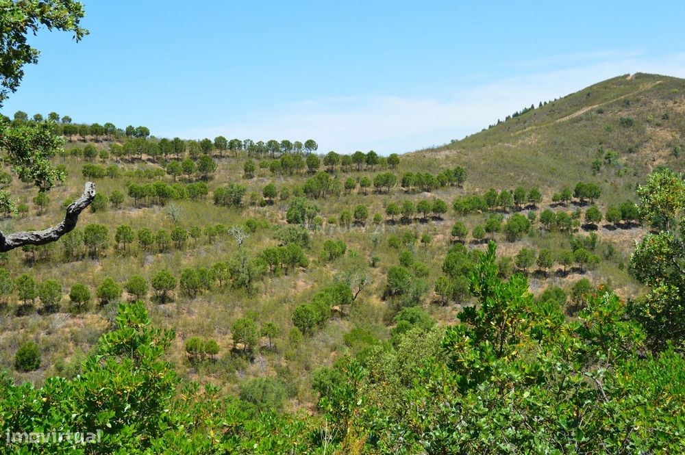 Terrenos Saboia - Odemira - Alentejo