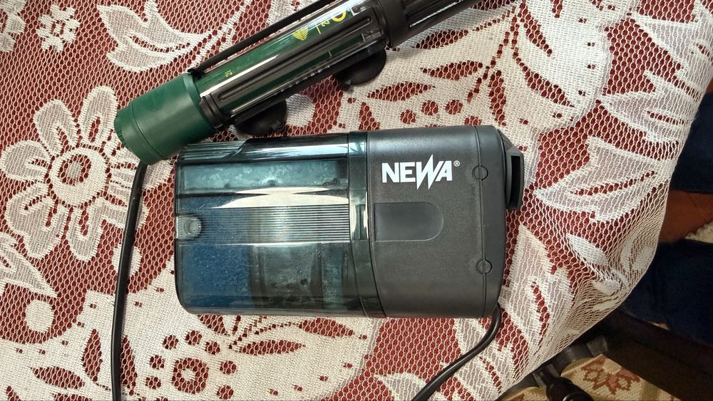 Aquario para tartaruga