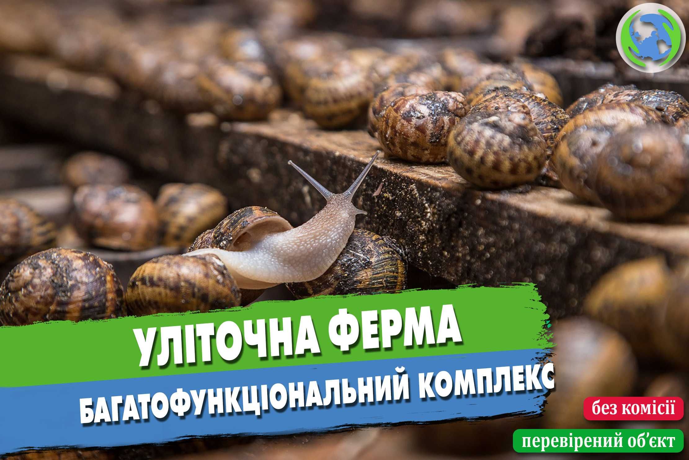 Продаж багатофункціонального комплексу (уліточна ферма)