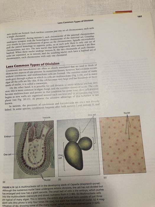 Livro Botâny Third Edition