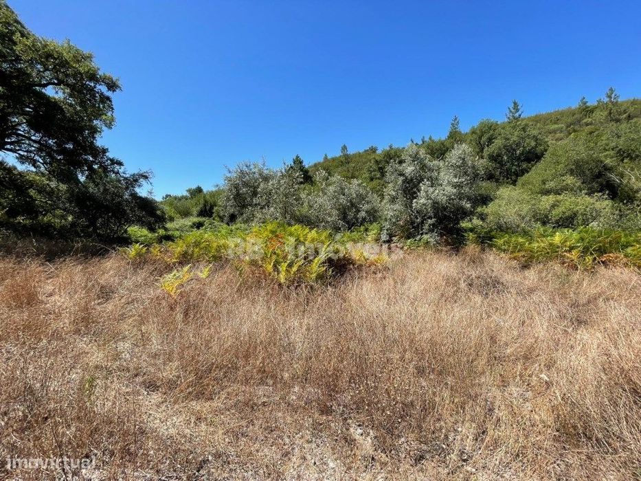Terreno com Ribeira - Touro - Atalaia, Gavião