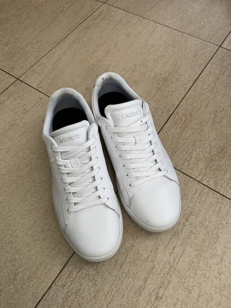 Buty snicersy Lacoste oryginalne