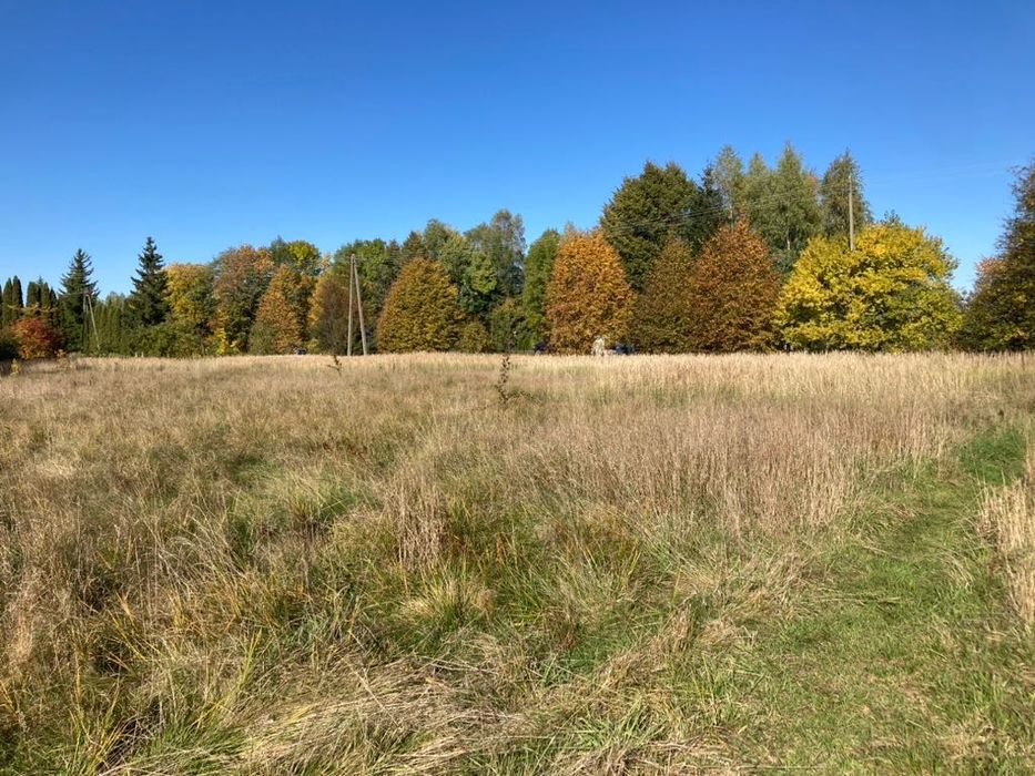 Działka 1,28 ha z częścią budowlaną i lasem • Rabinówka