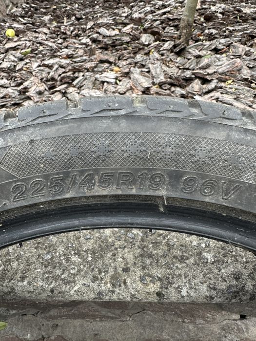 Зимова гума 2024 року,Lassa Competus Winter 2 Plus 225/45 R19 96V XL
