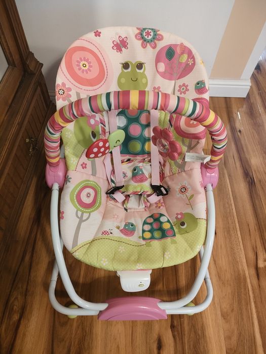 Bujaczek Zielona Żabka