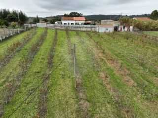 Terreno à venda em Óbidos