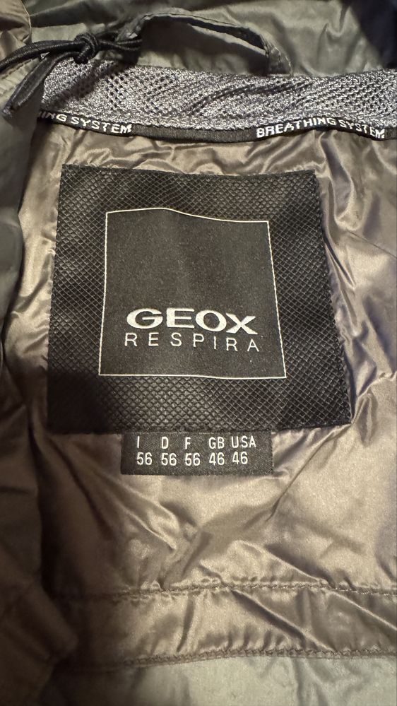 Geox Respira Kurtka puchowa  M Warrens Shorta Jkt M9225A T2449  F73172
