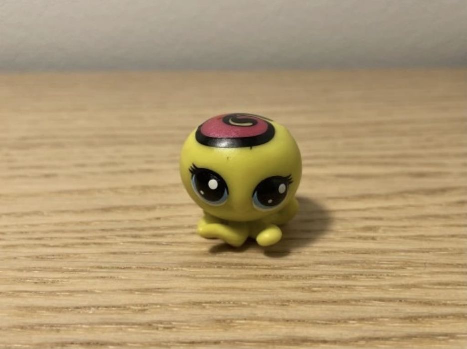 Mała ośmiornica lps