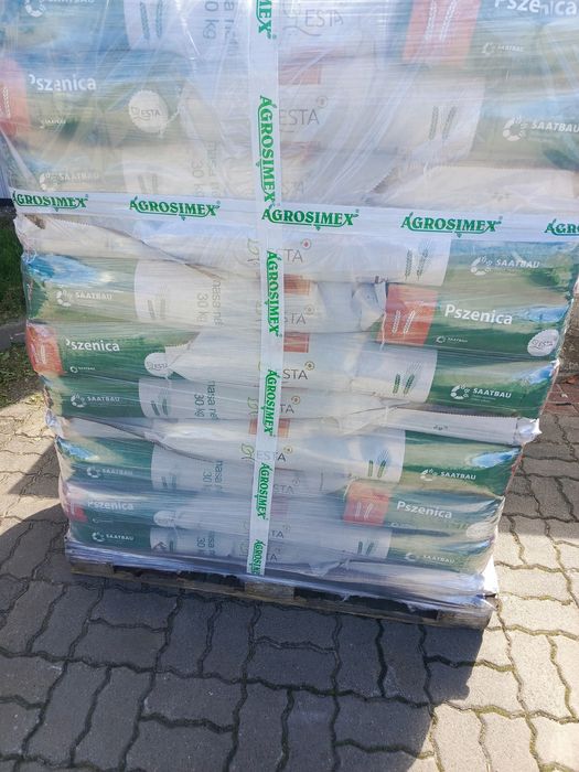Pszenica Essa, Apexus, Opoka, Dubaj, Arkadia, Wilejka kwalifikat C1