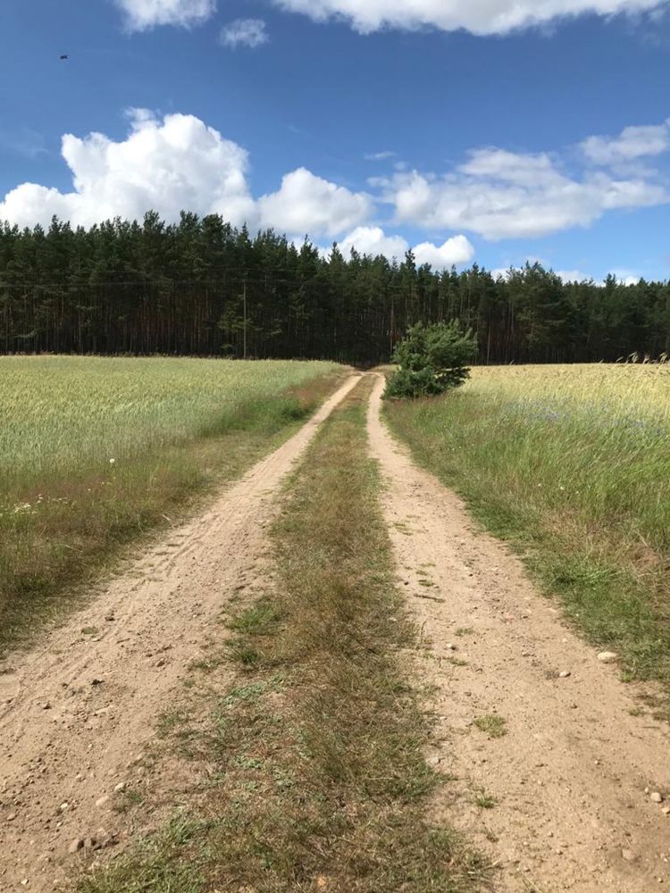 Domek nad jeziorem, Kaszuby, Ryby!