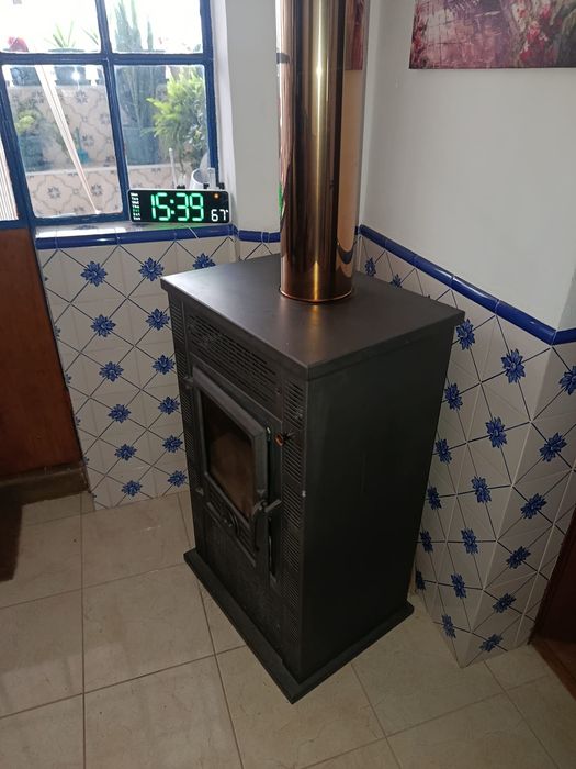 Salamandra em excelente estado